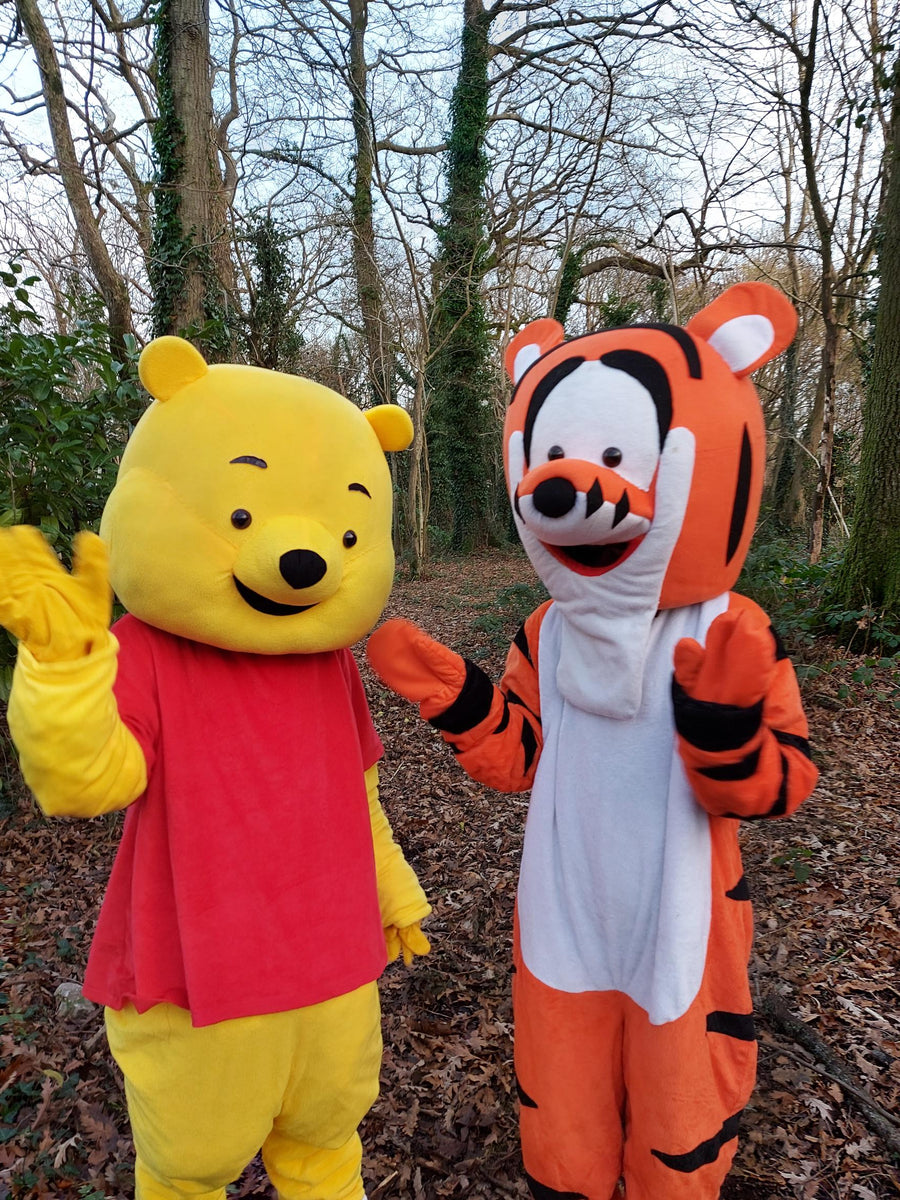 Pooh deals bear dress