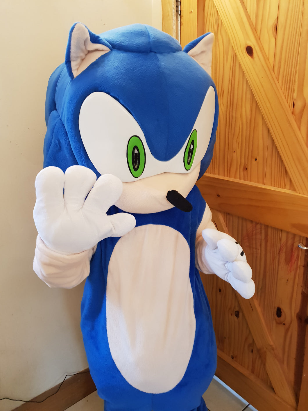 SONIC the hedgehog and TAILS character mascot costume hire