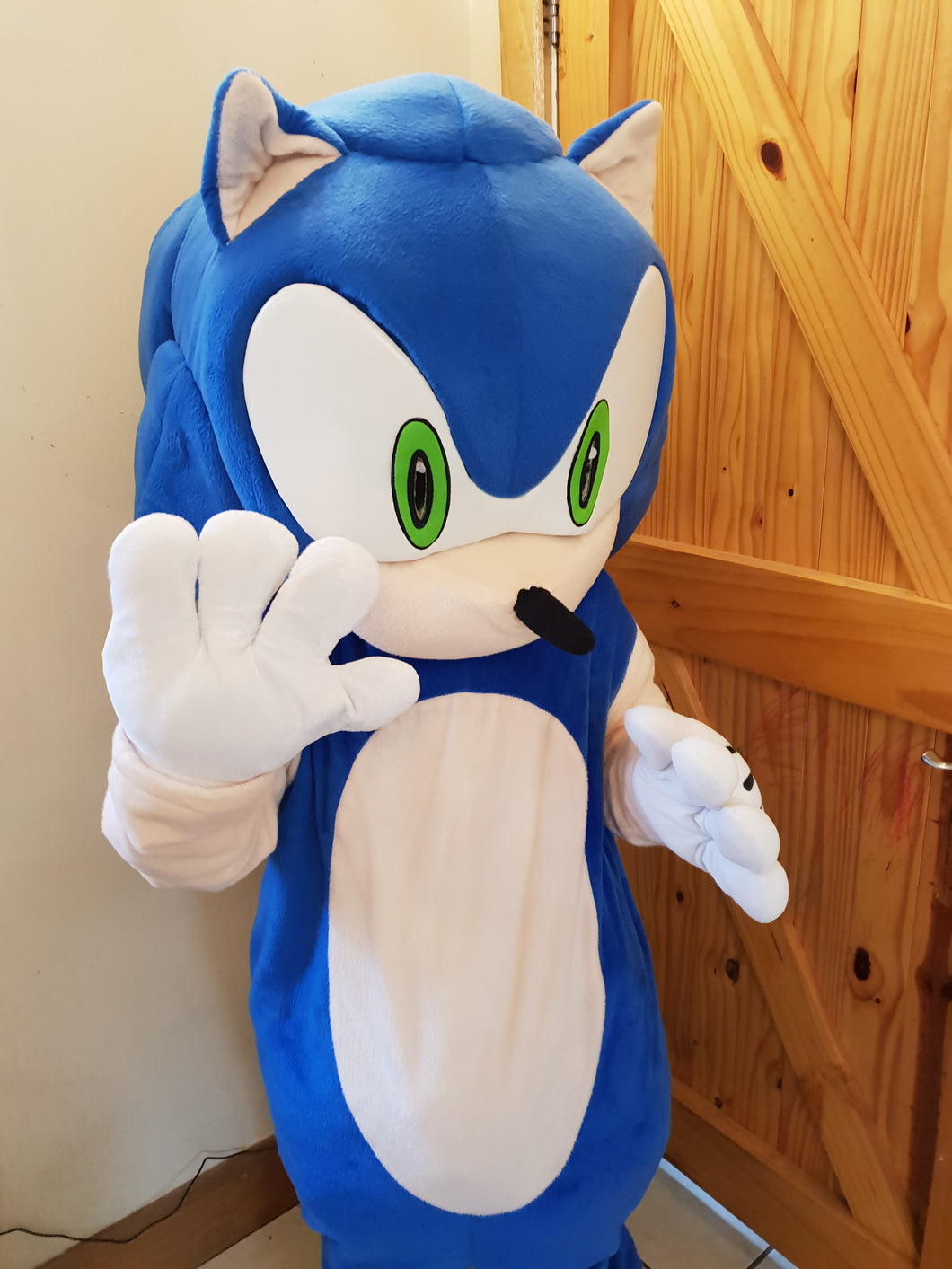 SONIC The Hedgehog And TAILS Mascot Adult Sized Fancy Dress Hire For SONIC The Hedgehog And TAILS Mascot Adult Sized Fancy Dress Hire For