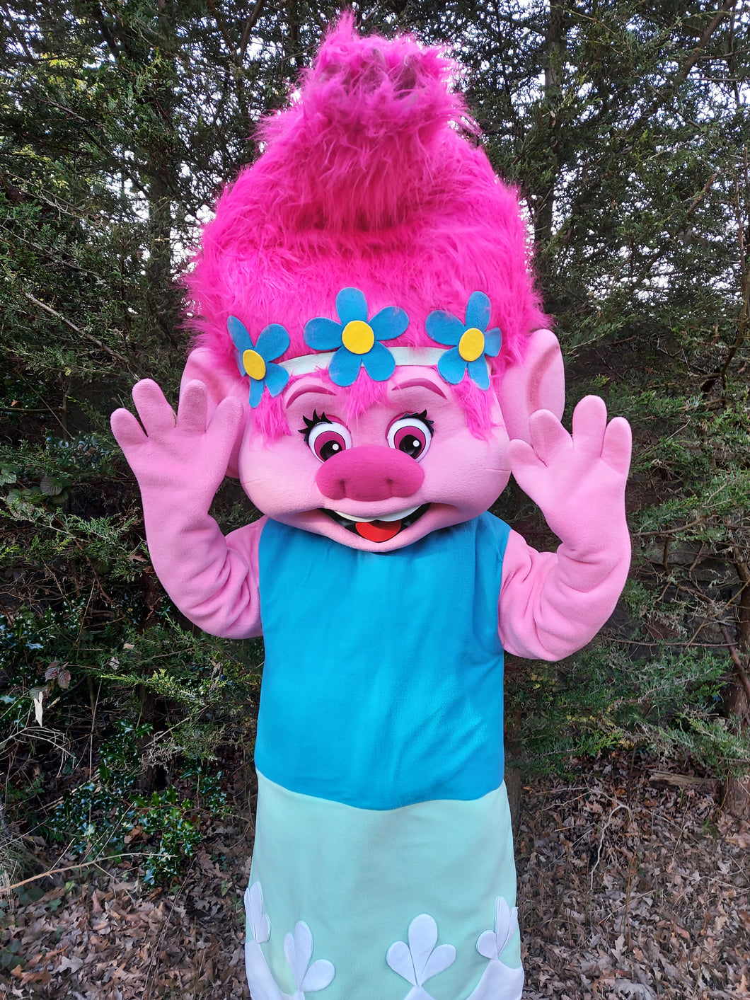 TROLLS - POPPY + BRANCH - Mascot Fancy Dress Character Costume hire