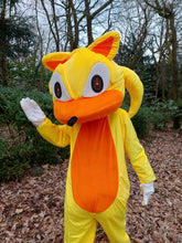 Load image into Gallery viewer, SONIC the hedgehog and TAILS character mascot costume hire