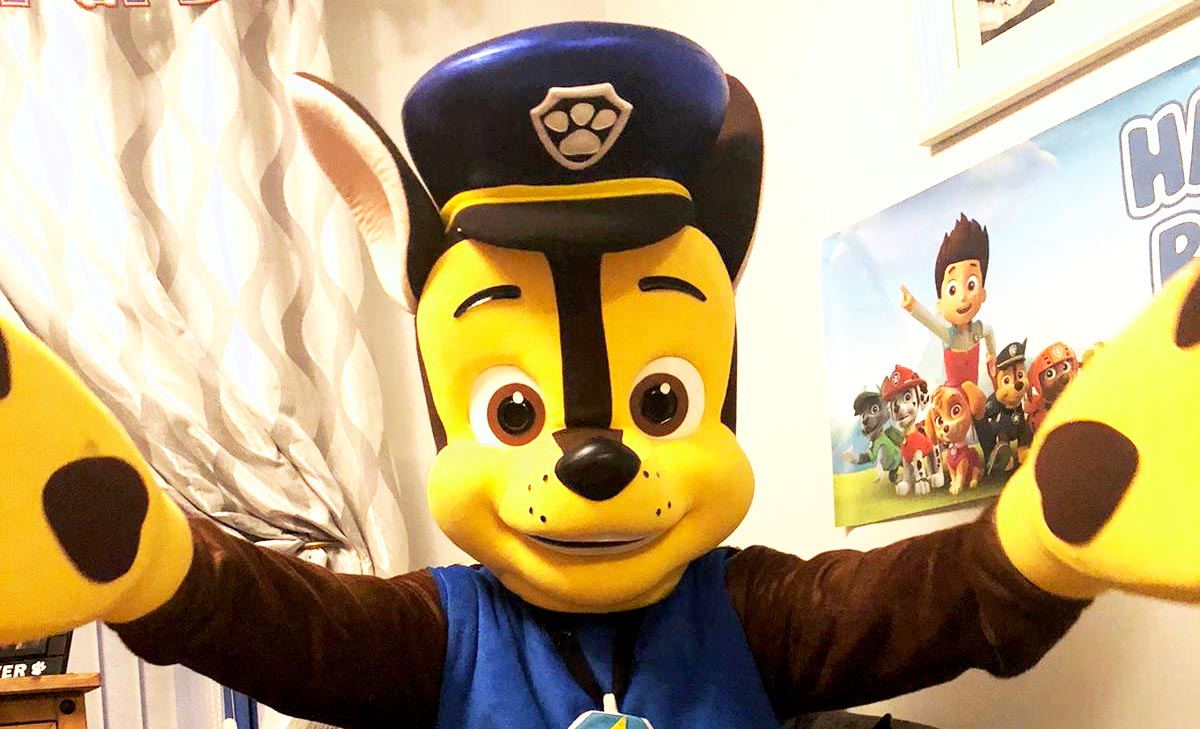 Chase and marshall sales costumes
