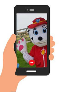 PERSONALISED BIRTHDAY VIDEO MESSAGE - 1 mascot (ANY CHARACTER)