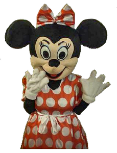 Mickey 2025 minnie costume