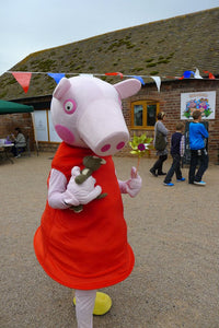 Peppa Pig with teddy adult sized mascot fancy dress costume for party entertainment