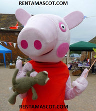 Load image into Gallery viewer, PERSONALISED BIRTHDAY VIDEO MESSAGE - 1 mascot (ANY CHARACTER)